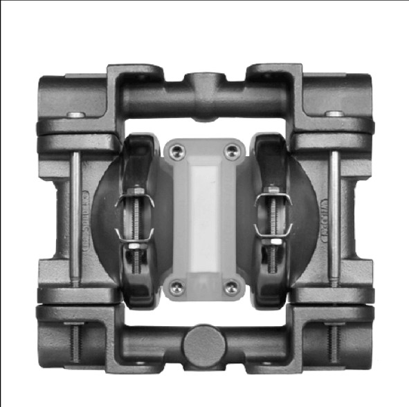 XP.025/SZPPP/TEL/TF/STV 00-9938 wilden AODD Pump, Stainless Steel, 1/4 XP.025/SZPPP/TEL/TF/STV 00-9938 wilden AODD Pump, Stainless Steel, 1/4