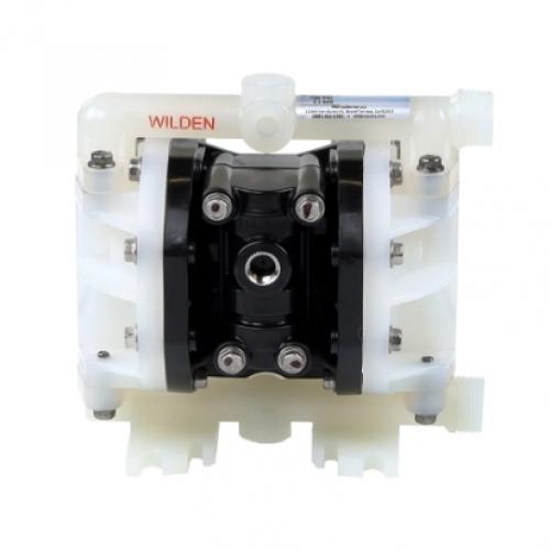 00-10202 PS25/PPPPP/ZWS/TF/PTF  AODD Pump, Polypropylene, 1/4